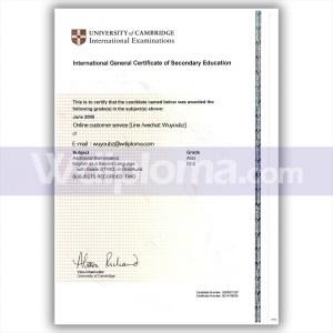 university of cambridge international examination certificate